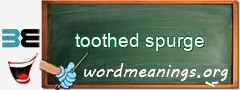 WordMeaning blackboard for toothed spurge